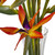 32" Large Birds Of Paradise In Vase 1455 By Nearly Natural