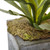 33" Dancing Lady And Staghorn In Stone Planter 1457 By Nearly Natural