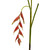 31'' Hanging Heliconia Artificial Flower (Set Of 4) 2205-S4 By Nearly Natural