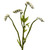 22 Baby Breath Artificial Flower Set Of 24 2221 S24 Wh By Nearly Natural
