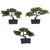 12 Bonsai Silk Plant Collection Set Of 3 4121 By Nearly Natural