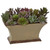 6 5 Mixed Succulent Plant In Vase 4179 By Nearly Natural