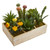 11 Mixed Succulent Garden In Tray Artificial Plant 4333 By Nearly Natural