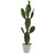 37 Cactus Artificial Plant 4338 By Nearly Natural