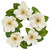 23 Magnolia Artificial Wreath 4345 By Nearly Natural