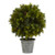 18" Pine Ball Topiary With Iron Planter And Lights 4558 By Nearly Natural
