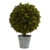 23" Pine Ball Topiary With Iron Planter And Lights 4559 By Nearly Natural
