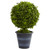 23 Boxwood Ball Topiary 4560 By Nearly Natural