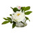 6" Peony W/Glass Vase (Set Of 3) 4789 By Nearly Natural