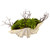 Succulent Garden W/Seashell 4851 By Nearly Natural