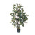 4 Ficus Tree W 950 Lvs 5074 By Nearly Natural