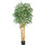 6 Weeping Ficus Tree W 1008 Lvs 5213 By Nearly Natural
