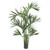 6 Kentia Palm Tree X 12 W 218 Lvs 5308 By Nearly Natural