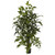 4 5 Fishtail Palm Tree W 594 Lvs 5330 By Nearly Natural