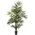 7 Kentia Palm Tree W 13 Fonds 5335 By Nearly Natural