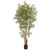 6 Japanese Bamboo Tree X 6 W 1920 Lvs 5361 By Nearly Natural