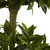 5' Triple Bay Leaf Top Uv Resit W/1404 Lvs (Indoor/Outdoor) 5381 By Nearly Natural