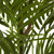 3.5' Areca Palm Uv Resistant X 7 W/522 Lvs (Indoor/Outdoor) 5388 By Nearly Natural