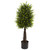 35 Ixora Topiary Uv Resistant W 630 Lvs Indoor Outdoor 5413 By Nearly Natural
