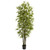 7 Green Bamboo Tree X 10 W 2220 Lvs 5421 By Nearly Natural