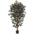 6 Capensia Ficus Tree X 3 W 1008 Lvs 5436 By Nearly Natural