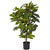 32 Fig Tree W 42 Lvs 15 Fruits 5440 By Nearly Natural