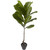 4' Fiddle Leaf Tree Uv Resistant W/14 Lvs(Indoor/Outdoor) 5448 By Nearly Natural