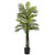 5 5 Robellini Palm Tree W 29 Lvs Uv Rest Indoor Outdoor 5479 By Nearly Natural