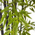 6' Black Bamboo Tree Uv Resistant (Indoor/Outdoor) 5481 By Nearly Natural