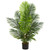 4 Paradise Palm Artificial Tree 5499 By Nearly Natural