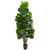 6 Fiddle Leaf Fig Artificial Tree 5543 By Nearly Natural
