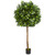 5 5 Ficus Artificial Tree 5572 By Nearly Natural