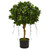 2 5 Panda Ficus Artificial Tree 5573 By Nearly Natural