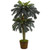 5 5 Double Sago Palm Artificial Tree In Bamboo Planter 5626 By Nearly Natural