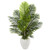 4 5 Paradise Palm Artificial Tree In White Planter 5660 By Nearly Natural