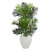 3 5 Paradise Palm Artificial Tree In White Planter 5691 By Nearly Natural