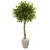 Ficus Tree In Oval Planter Uv Resistant (Indoor/Outdoor) 5777 By Nearly Natural
