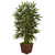 4 Bamboo Tree In Bamboo Planter 5804 By Nearly Natural