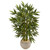 4 Bamboo Tree In Sand Colored Bowl 5824 By Nearly Natural