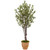 5 Olive Tree In Terracotta Planter 5853 By Nearly Natural