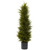 42 Cedar Tree 5917 By Nearly Natural