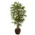 5 5 Bamboo W Decorative Planter 5928 By Nearly Natural