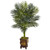 4 5 Golden Cane Palm Tree In Wooden Decorated Planter 5989 By Nearly Natural