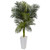5 Golden Cane Palm Tree In White Tower Planter 5994 By Nearly Natural