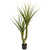 5 Yucca Artificial Plant 6346 By Nearly Natural