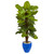 5 Large Leaf Philodendron In Blue Planter Real Touch 6426 By Nearly Natural