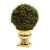16 Mohlenbechia Ball Topiary In Gold Urn 6470 By Nearly Natural