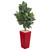 4 5 Zebra Artificial Plant In Red Planter 6524 By Nearly Natural