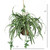 27 Inch Spider Hanging Basket 6607 By Nearly Natural