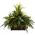 Mixed Grass River Fern W Wood Planter 6792 By Nearly Natural